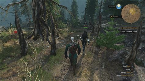 the witcher 3 hauptquests.